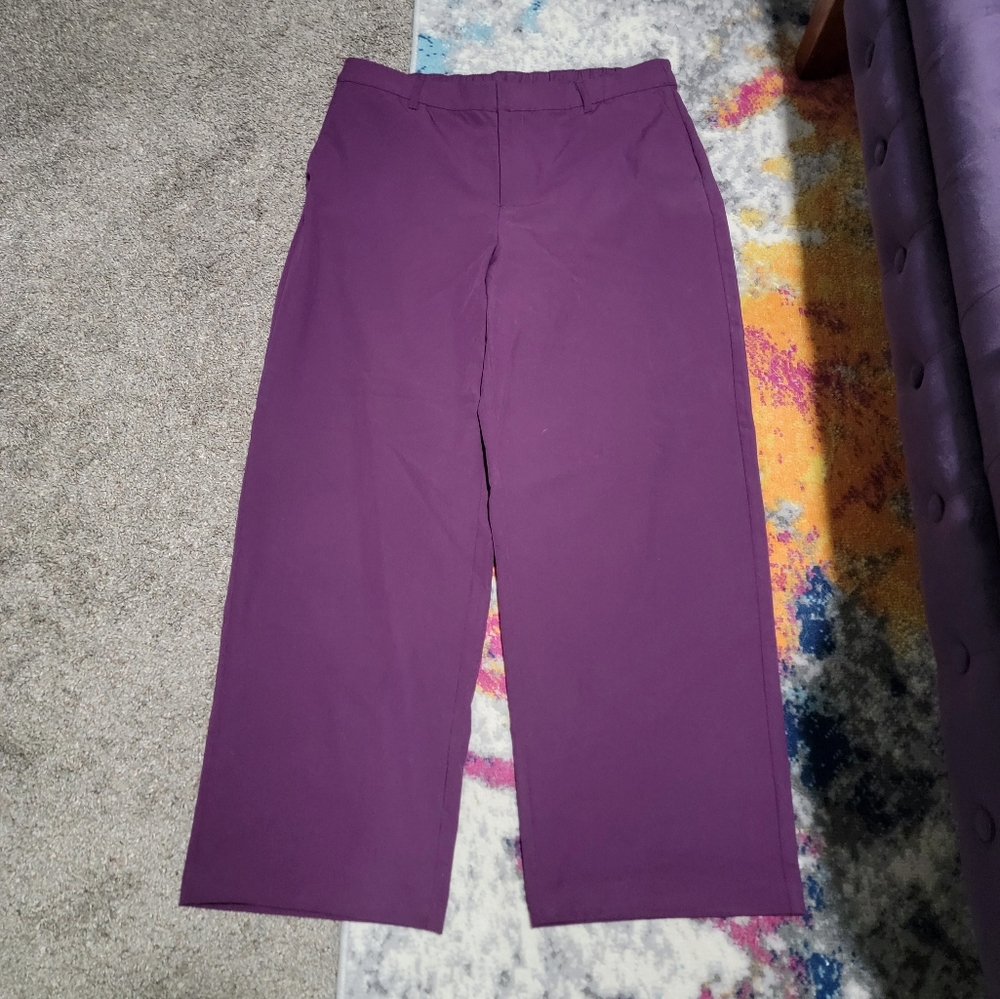 Torrid Pants